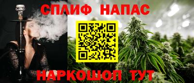 ешки Долгопрудный