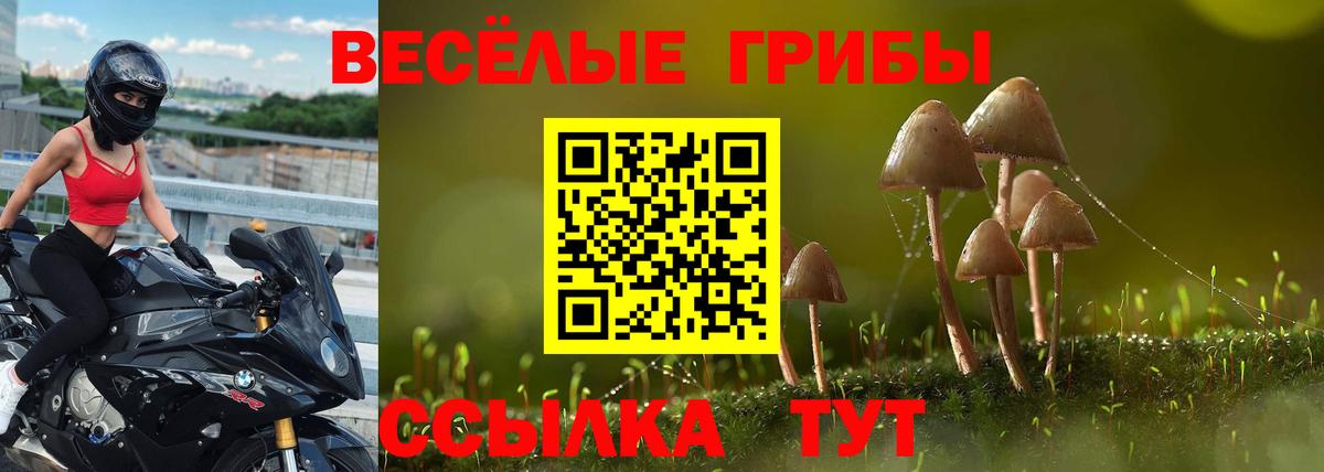 Псилоцибиновые грибы Magic Shrooms  Вход с VPN  Псилоцибиновые грибы мицелий  Богородицк 
